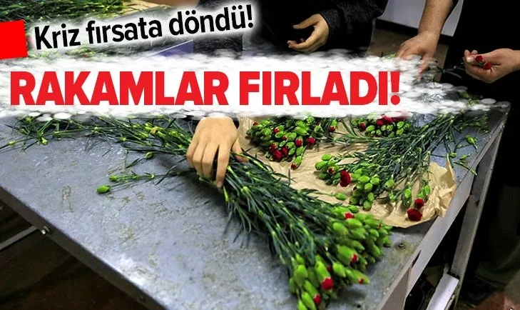 Antalya’da koronavirüs krizini fırsata çeviren çiçek sektörü 90 milyon dolarlık ihracat yaptı