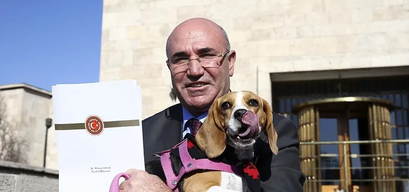 CHP'li Mahmut Tanal'dan Meclis'te köpekli şov