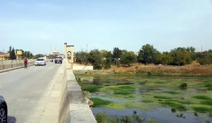 Kuraklık bu hale getirdi: Tunca Nehri yeşile büründü