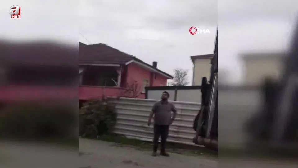 Köpeklerden kaçtı! Direkte mahsur kaldı