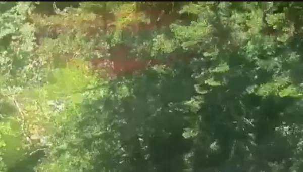 Son dakika | İtalya’dan kahreden haber! Radarda kaybolan helikopterin yeri bulundu! 7 kişilik ekibin tamamı hayatını kaybetti