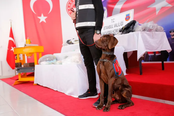 Jandarmadan nefes kesen operasyon! 'King' lakaplı organize uyuşturucu çetesi çökertildi - 2