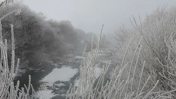 Kar ve sağanakların artışıyla Sibirya soğuğu gelecek!! Hava sıcaklığı eksi 20 derece olacak! İşte 5 günlük hava durumu - 10