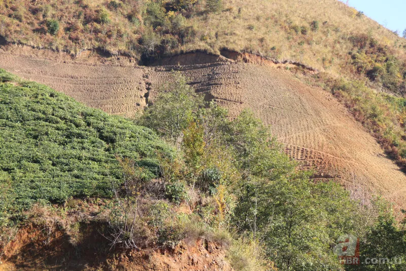 Tarladaki ürünleri tek tek söküyorlar! Uzman isim uyardı: Sıkıntı yaşarız 11