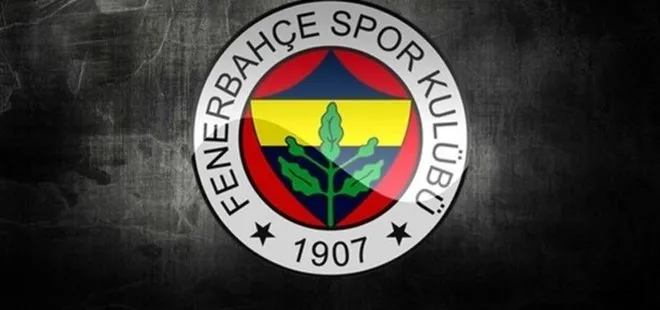 Fenerbahçe 8,5 milyon avro kar ettiğini duyurdu