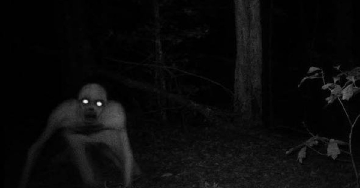 kan donduran goruntu 51 bolge neden bu