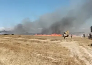 Tekirdağ'da anız yangını