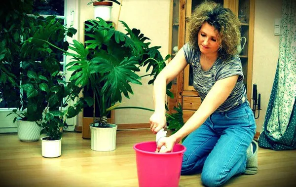 Ev kadınına emeklilik fırsatı! Sigorta priminin üçte biri devletten