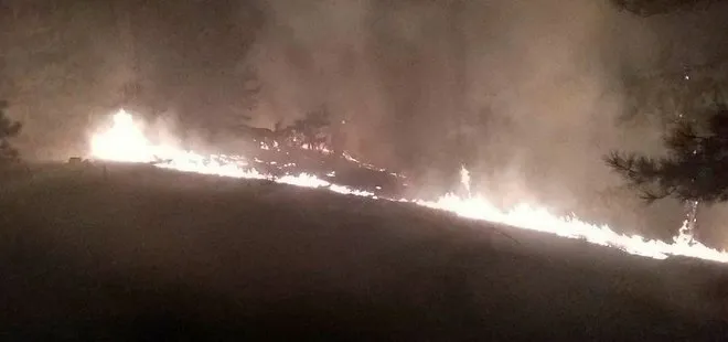 Muğla Köyceğiz’de orman yangını! 3 hektar alan hasar gördü