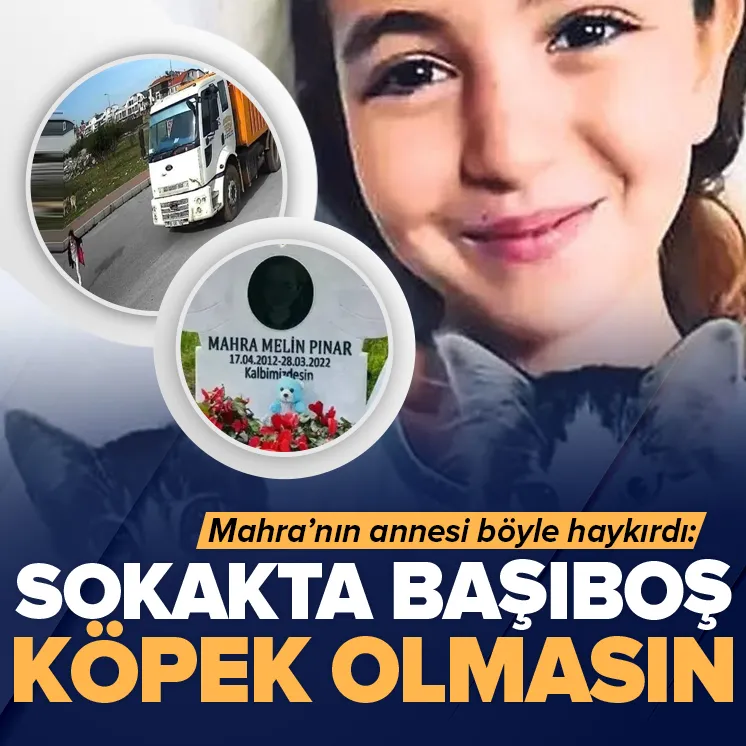 Mahranın ailesi konuştu: Başıboş köpek kalmasın