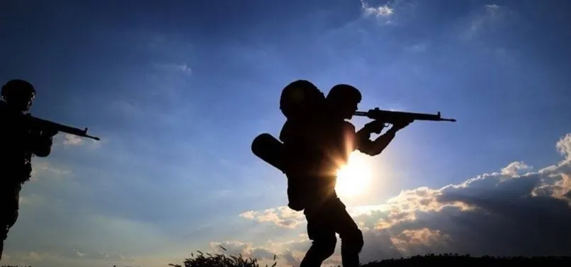 Milli Savunma Bakanlığı: 2 PKK'lı terörist Habur'da teslim oldu