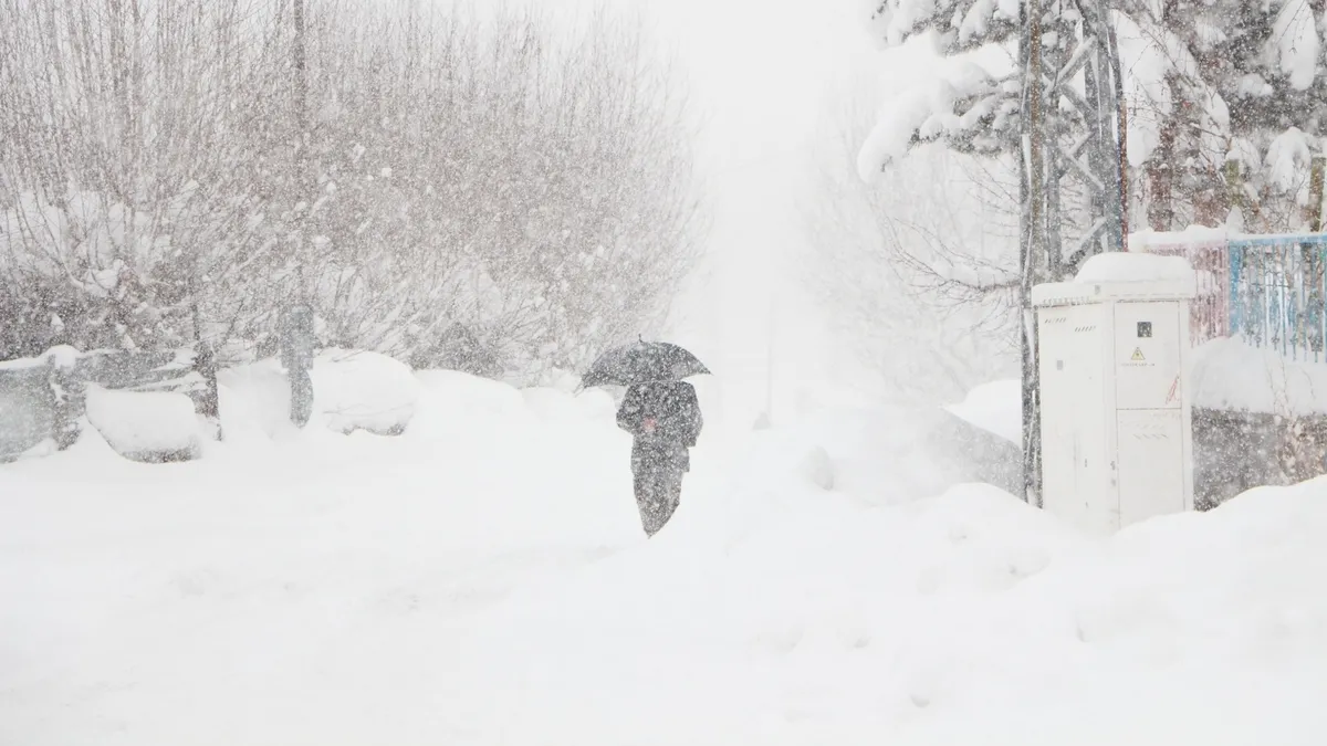 Bingöl'de tüm köy yolları kardan kapandı