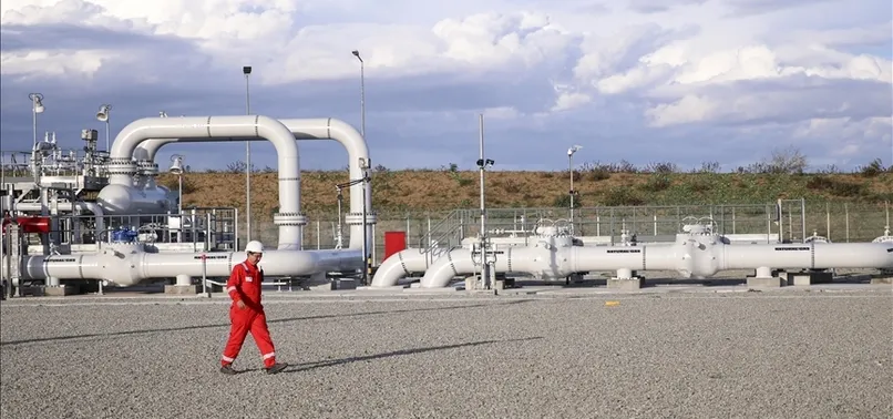 Orta ve Doğu Avrupa'ya petrol akışı durdu