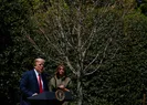 ABD Başkanı Donald Trump milli parkların açılacağını duyurdu