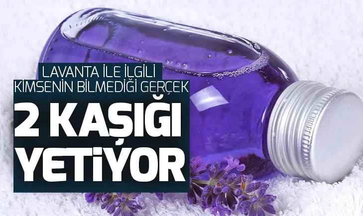 Lavantanın mucize kullanım alanları