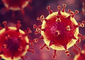 Koronavirüs sonunda bitiyor! İşte masadaki 3 senaryo! DSÖ'nün verdiği tarih sonrası dünyayı umutlandıran haber