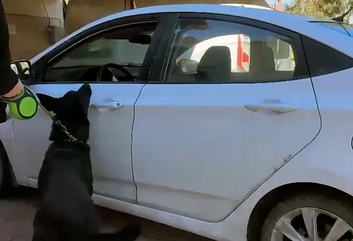 Baba ziyareti masalı! Bagajdan 66 bin hap fışkırdı