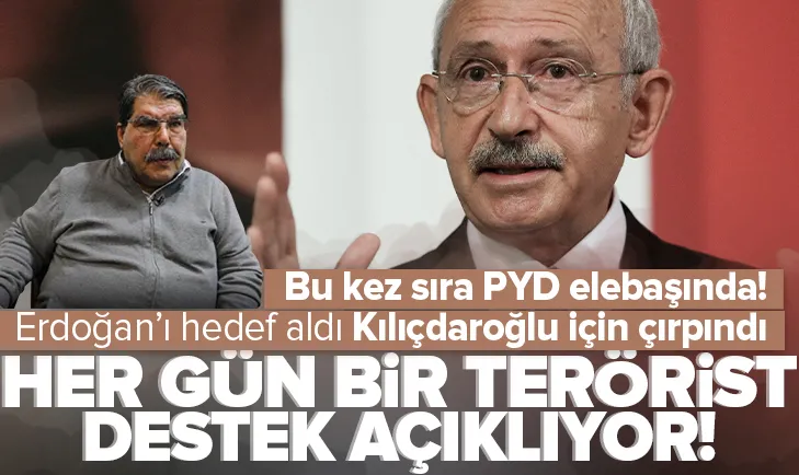 7li koalisyona son destek terörist Salih Müslimden