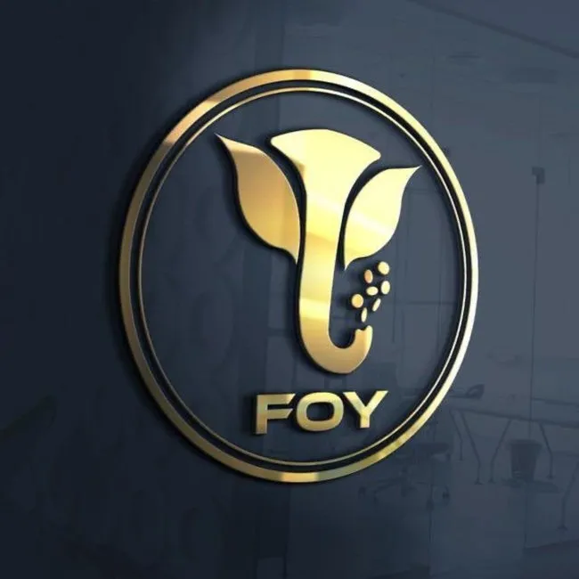 Son dakika: FOY Token 16 milyon TL’lik vurgunla battı! Bağımsız gazeteci yalanları böyle çöktü