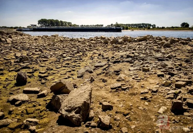 Avrupa'da 500 yılın kuraklığı! Dünya korkuyla izliyor 4