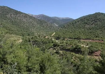 Amanos Dağları'nda çatışma
