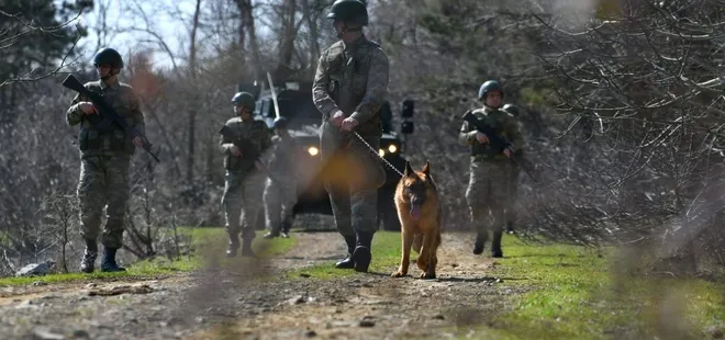 Yunanistan’a kaçmaya çalışan 3 FETÖ’cü yakalandı