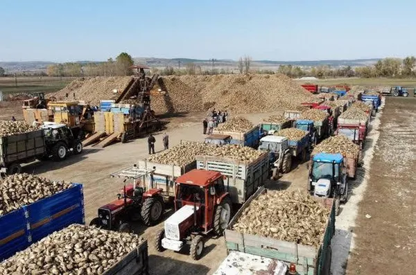 Devlet stokçunun peşine düştü şeker fiyatı indi