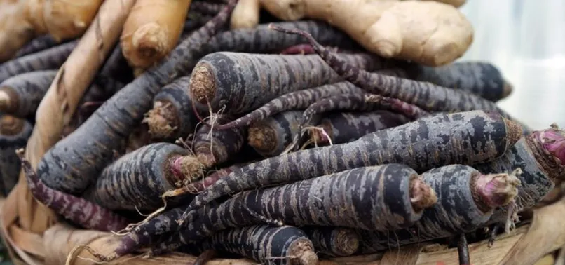 Mor havucun faydaları nelerdir?