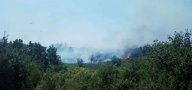 Son dakika: Aydın Karpuzlu'da orman yangını