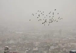 Hatay'da toz taşınımı etkisini sürdürüyor