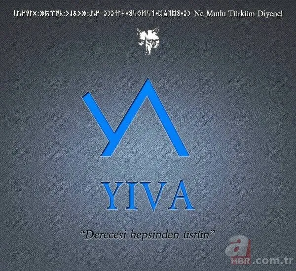 İşte Türklerin soyağacı! Hangi il hangi boydan geliyor? 51