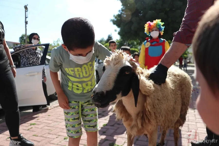 Başkan Erdoğan tedavisini üstlenmişti! Taburcu olan küçük Taha'ya Elazığ'da coşkulu karşılama 6