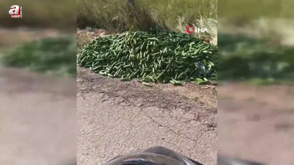 Salatalıkları sokağa attılar