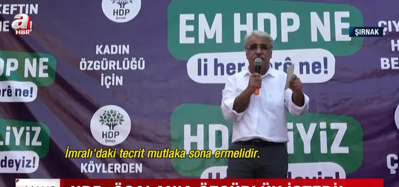 HDP Eş Genel Başkanı Mithat Sancar'dan Öcalan skandalı! Teröristbaşı Öcalan için özgürlük istedi