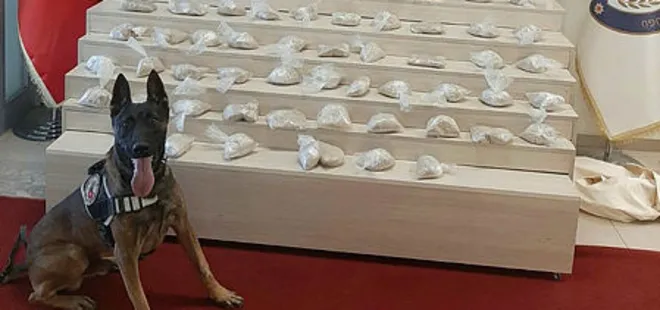 Van’da 15 kilo eroin ele geçirildi