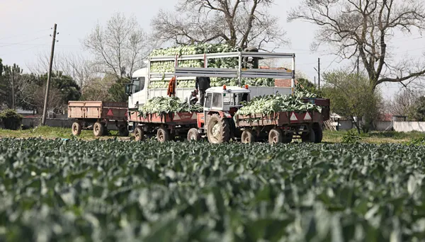 Çiftçilere 10 yıl vadeli ucuz kredi! Gençlere ve kadınlara destek! İşte ürünler