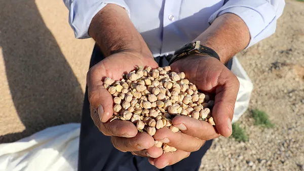 Erzurumlu üreticiye devlet desteğiyle alternatif gelir kaynağı