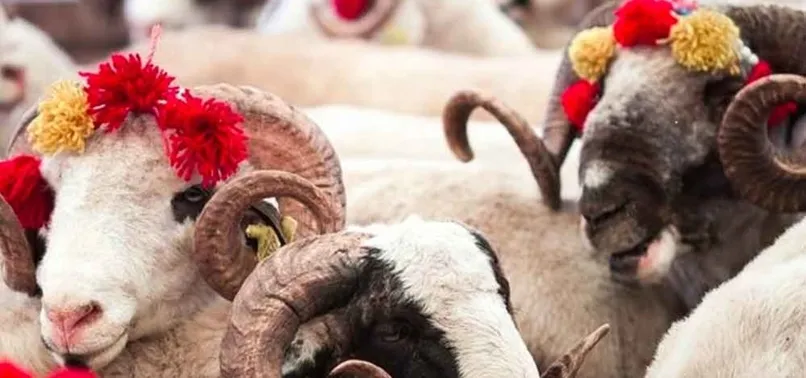 kurban bayrami tatili kac gun olacak