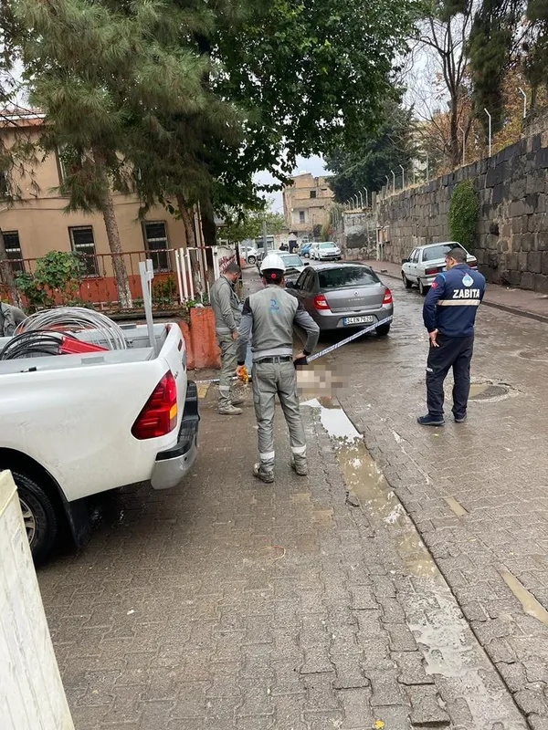 sanliurfada-kan-donduran-goruntu-kopek-elektrik-akimina-kapilarak-telef-oldu-1637502972798.jpg Şanlıurfa’da kan donduran görüntü! Köpek elektrik akımına kapılarak telef oldu - 3