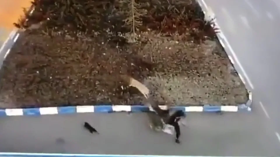 Van'da 6 köpek genç kıza saldırdı! Tüyler ürperten anlar kamerada