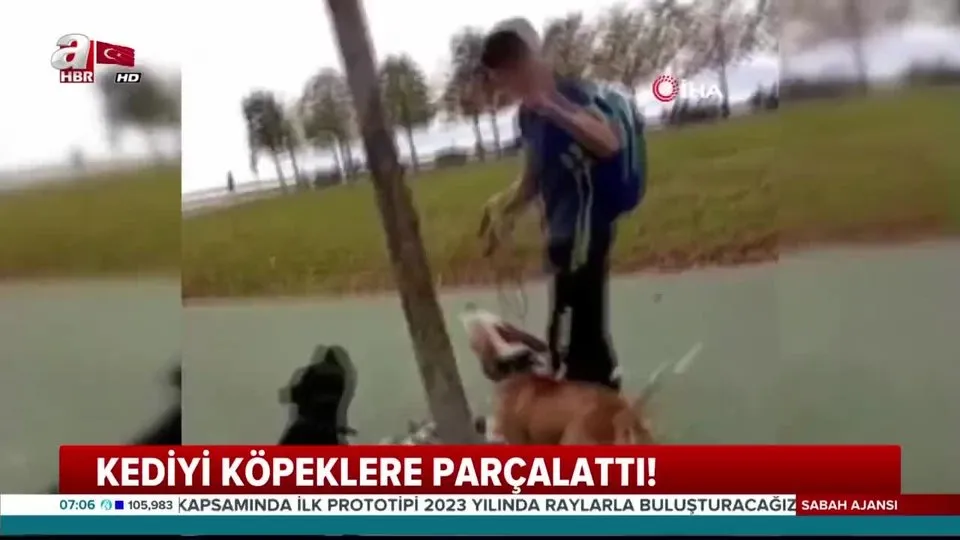Istanbul Maltepe De Insanlik Disi Olay Video Izle Flas Haber Ahaber Video Izle