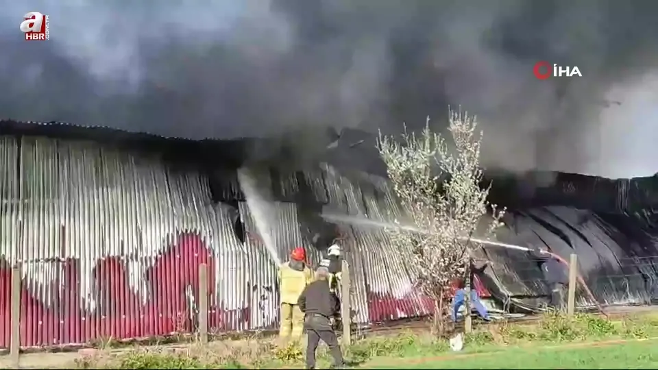 Gül serası alevlere teslim oldu