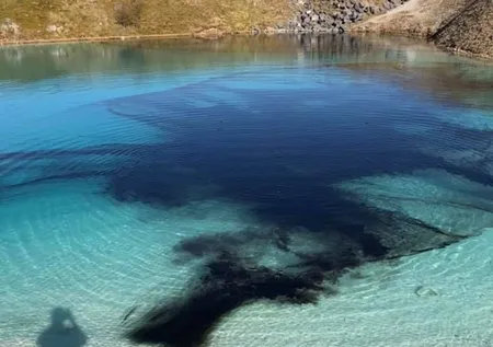 İngiliz polisinden ilginç corona önlemi! Mavi Göl'ü siyaha boyadılar