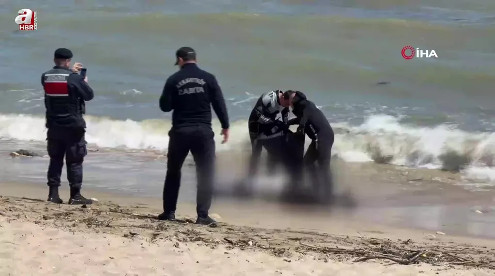 Arnavutköy Sahili'nde erkek cesedi bulundu