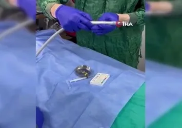Zonguldak'ta kediye altın diş yapıldı