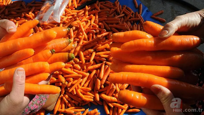 Günde 2 havuç yemenin inanılmaz faydası! Sabahları aç karnına tüketirseniz... 5