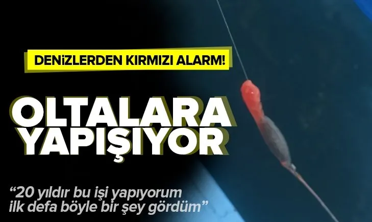 Pendik’te balıkçıların oltasına yapışan kırmızı madde korkuttu!
