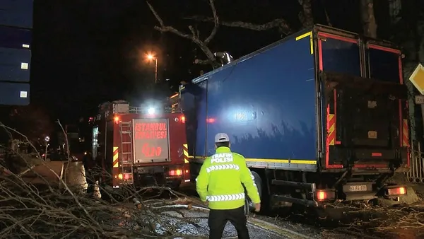 Üsküdar'da kamyon ağaca çarptı - 1
