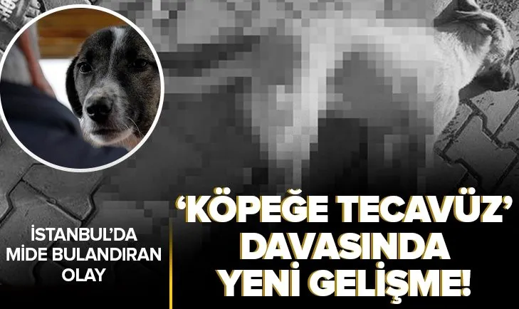 İstanbul’da ’köpeğe tecavüz’ davasında yeni gelişme! Yargıtay kararı bozdu