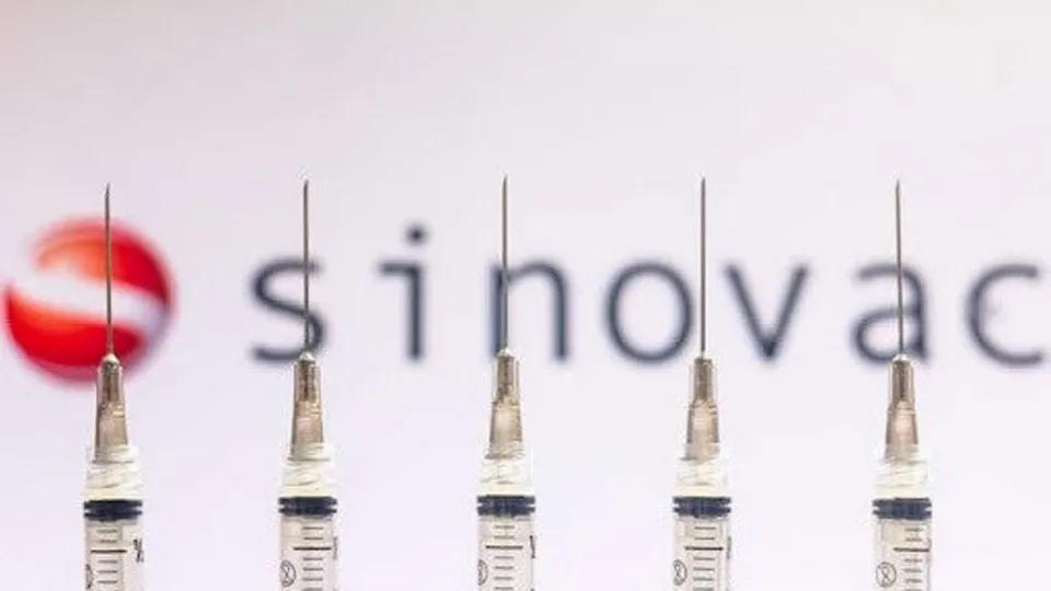 Çin aşısı ne kadar koruyor | İşte Sinovac aşısının dünya verileri